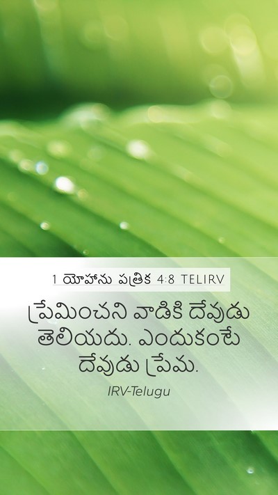 1 యోహాను పత్రిక 4:8 TELIRV Bible Verse Image