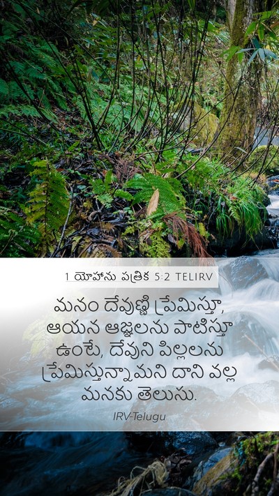 1 యోహాను పత్రిక 5:2 TELIRV Bible Verse Image