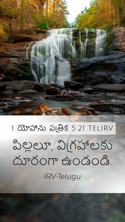 1 యోహాను పత్రిక 5:21 TELIRV Bible Verse Image