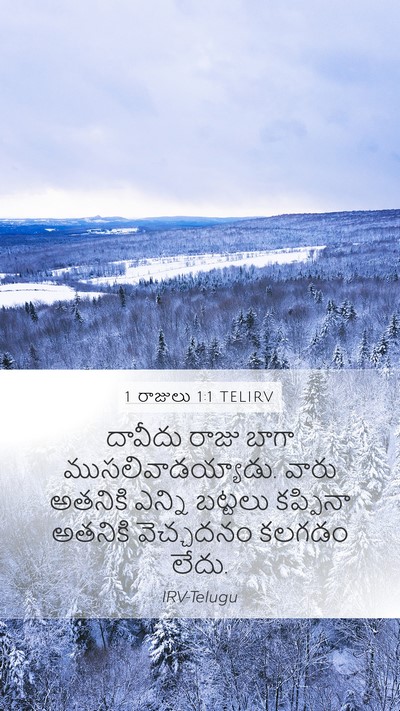 1 రాజులు 1:1 TELIRV Bible Verse Image