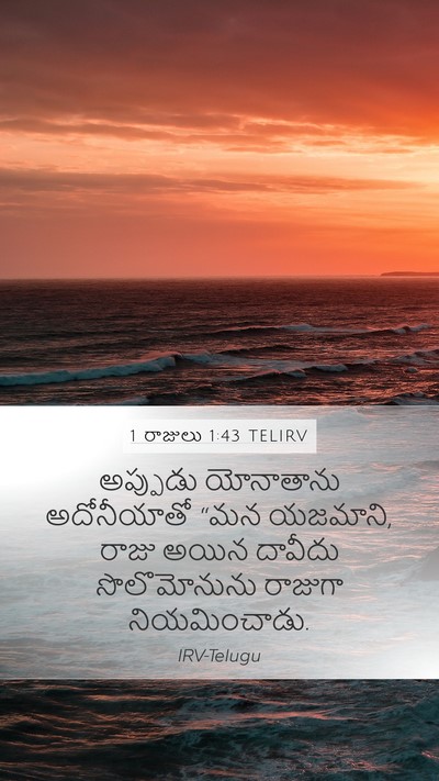 1 రాజులు 1:43 TELIRV Mobile Phone Wallpaper - అప్పుడు యోనాతాను - Mobile Bible Verse Wallpaper
