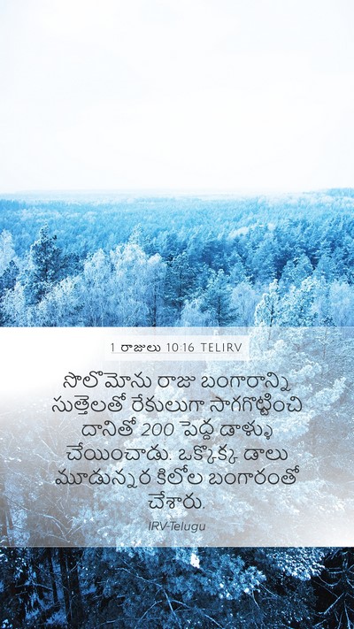 1 రాజులు 10:16 TELIRV Bible Verse Image