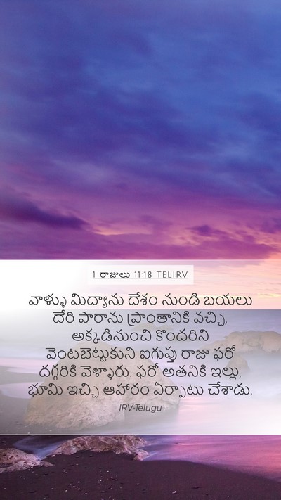 1 రాజులు 11:18 TELIRV Mobile Phone Wallpaper - వాళ్ళు మిద్యాను - Mobile Bible Verse Wallpaper