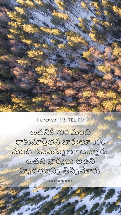 1 రాజులు 11:3 TELIRV Bible Verse Image