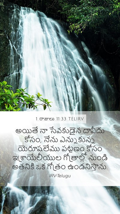 1 రాజులు 11:33 TELIRV Bible Verse Image