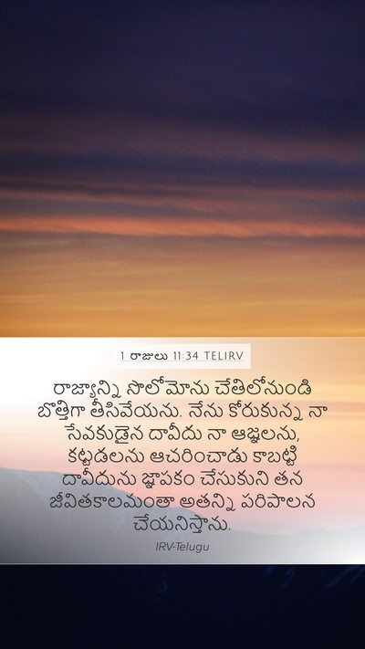 1 రాజులు 11:34 TELIRV Bible Verse Image