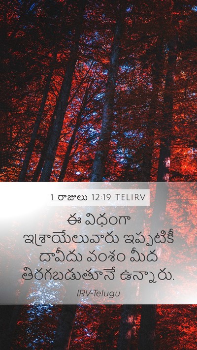 1 రాజులు 12:19 TELIRV Bible Verse Image