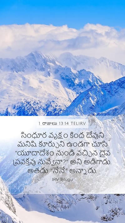 1 రాజులు 13:14 TELIRV Mobile Phone Wallpaper - సింధూర వృక్షం - Mobile Bible Verse Wallpaper