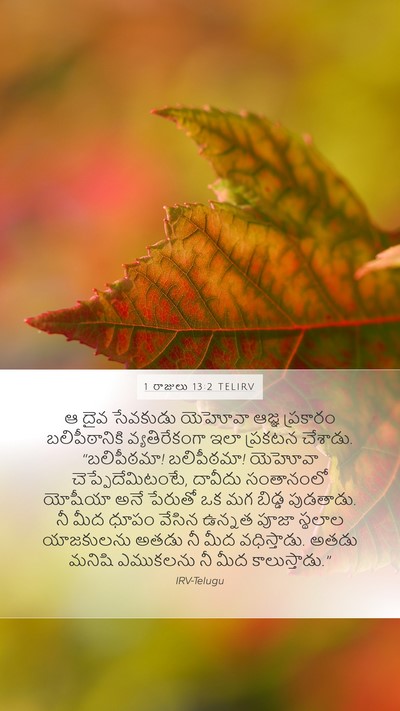 1 రాజులు 13:2 TELIRV Bible Verse Image