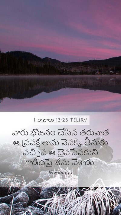 1 రాజులు 13:23 TELIRV Mobile Phone Wallpaper - వారు భోజనం చేసిన - Mobile Bible Verse Wallpaper