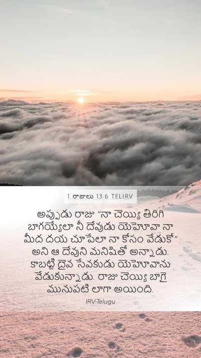 1 రాజులు 13:6 TELIRV Bible Verse Image