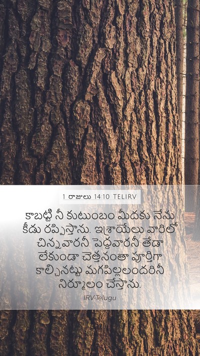 1 రాజులు 14:10 TELIRV Bible Verse Image