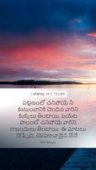 1 రాజులు 14:11 TELIRV Bible Verse Image