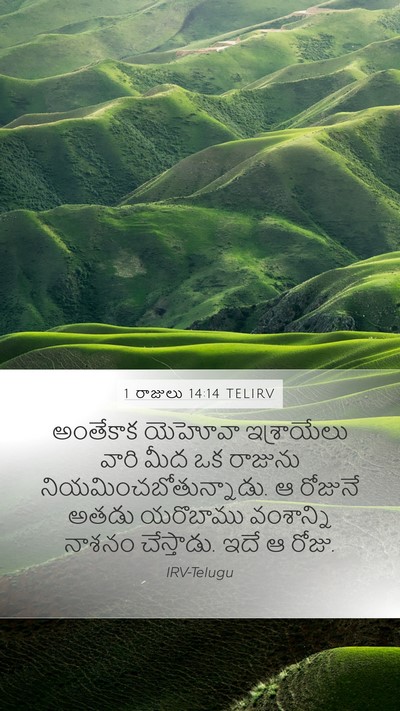1 రాజులు 14:14 TELIRV Bible Verse Image
