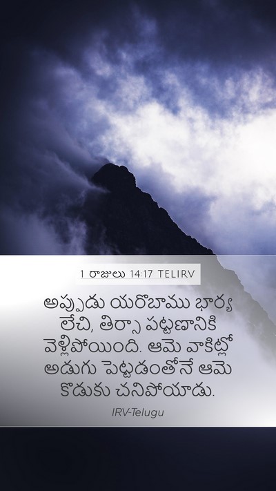 1 రాజులు 14:17 TELIRV Bible Verse Image
