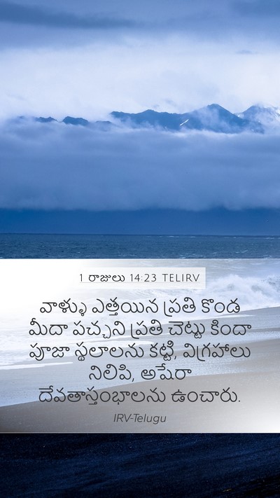 1 రాజులు 14:23 TELIRV Bible Verse Image