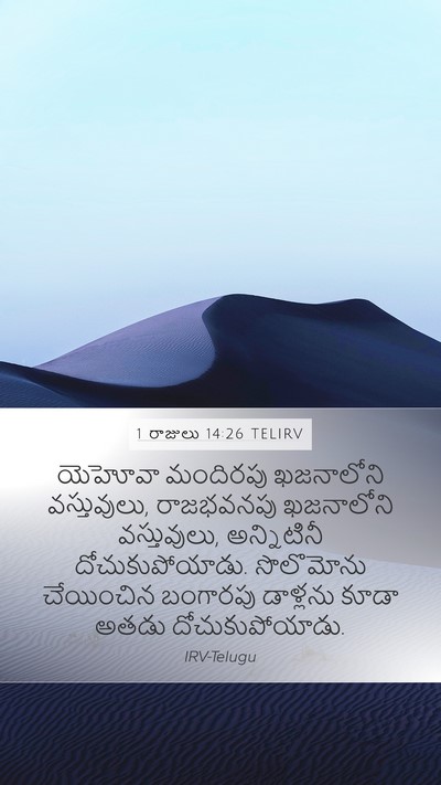 1 రాజులు 14:26 TELIRV Bible Verse Image