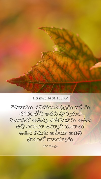 1 రాజులు 14:31 TELIRV Mobile Phone Wallpaper - రెహబాము - Mobile Bible Verse Wallpaper