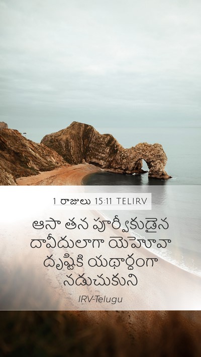 1 రాజులు 15:11 TELIRV Bible Verse Image