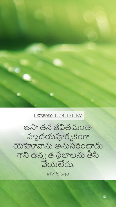 1 రాజులు 15:14 TELIRV Bible Verse Image