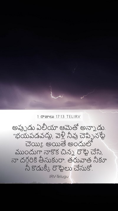 1 రాజులు 17:13 TELIRV Bible Verse Image
