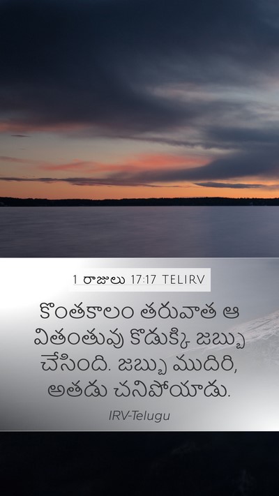 1 రాజులు 17:17 TELIRV Bible Verse Image