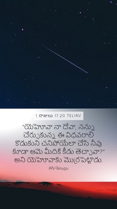 1 రాజులు 17:20 TELIRV Bible Verse Image