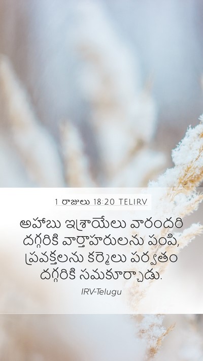 1 రాజులు 18:20 TELIRV Bible Verse Image