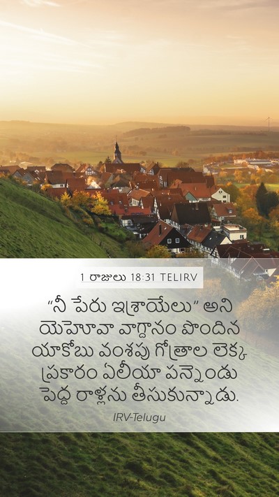 1 రాజులు 18:31 TELIRV Bible Verse Image