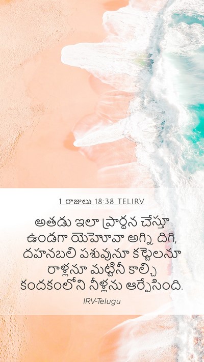 1 రాజులు 18:38 TELIRV Bible Verse Image