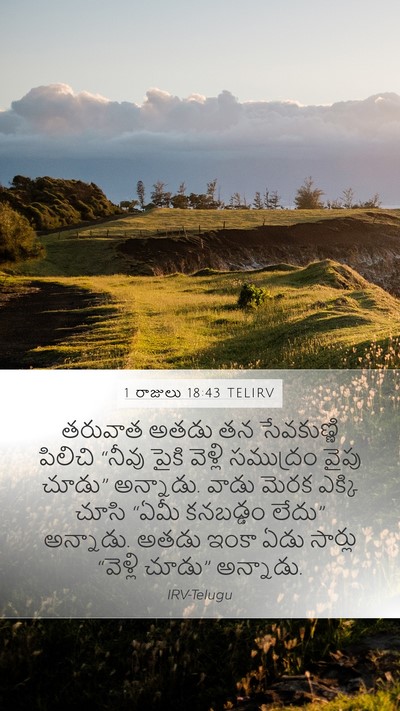 1 రాజులు 18:43 TELIRV Mobile Phone Wallpaper - తరువాత అతడు తన - Mobile Bible Verse Wallpaper