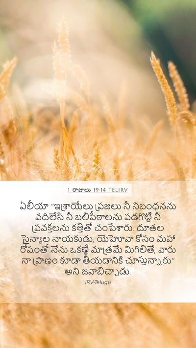 1 రాజులు 19:14 TELIRV Bible Verse Image