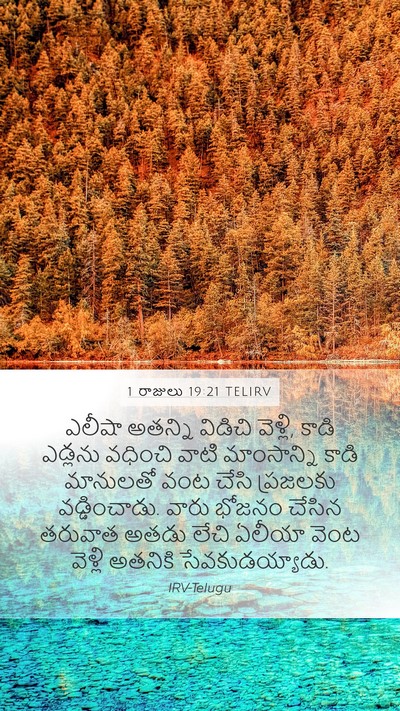 1 రాజులు 19:21 TELIRV Bible Verse Image