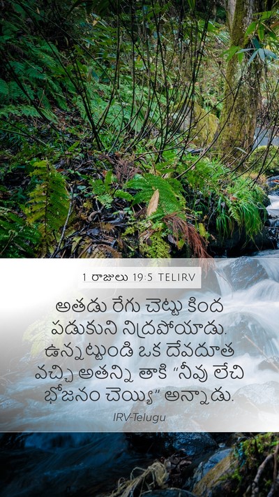 1 రాజులు 19:5 TELIRV Bible Verse Image