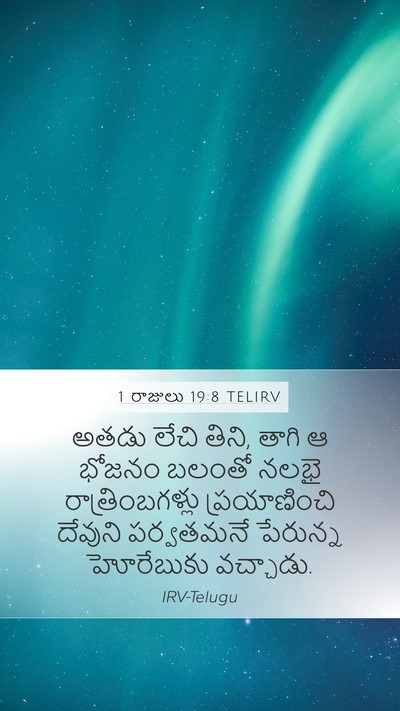 1 రాజులు 19:8 TELIRV Bible Verse Image