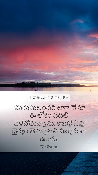 1 రాజులు 2:2 TELIRV Bible Verse Image
