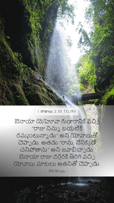 1 రాజులు 2:30 TELIRV Mobile Phone Wallpaper - బెనాయా యెహోవా - Mobile Bible Verse Wallpaper