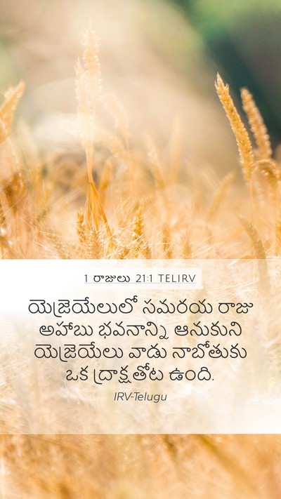 1 రాజులు 21:1 TELIRV Bible Verse Image