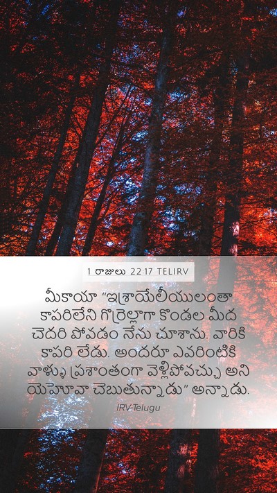 1 రాజులు 22:17 TELIRV Bible Verse Image