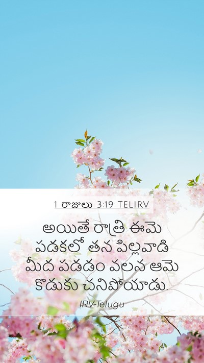 1 రాజులు 3:19 TELIRV Mobile Phone Wallpaper - అయితే రాత్రి ఈమె - Mobile Bible Verse Wallpaper