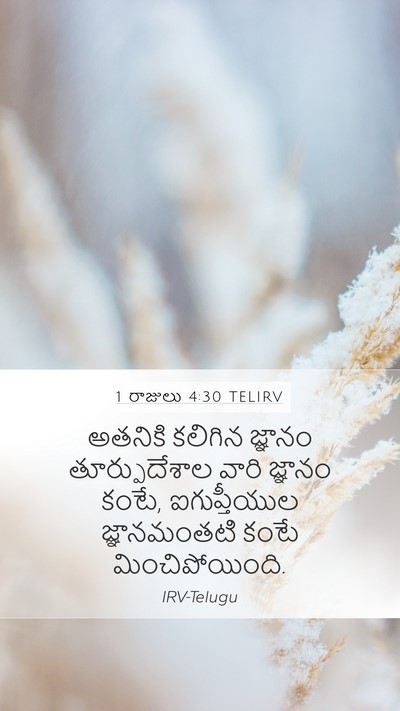 1 రాజులు 4:30 TELIRV Bible Verse Image