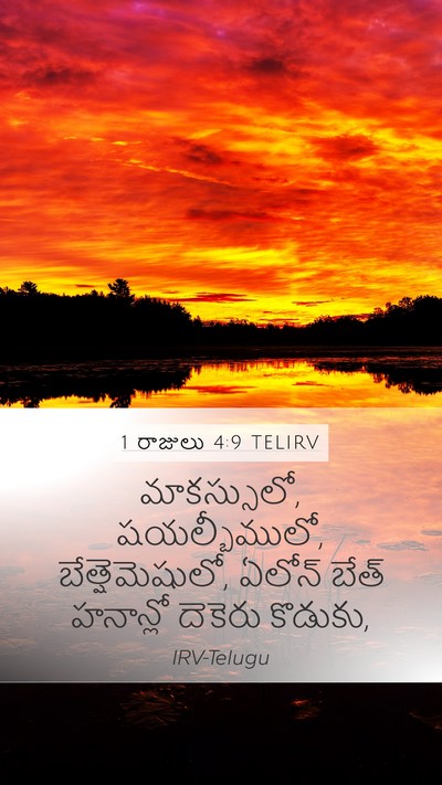 1 రాజులు 4:9 TELIRV Bible Verse Image