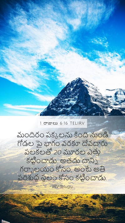 1 రాజులు 6:16 TELIRV Bible Verse Image
