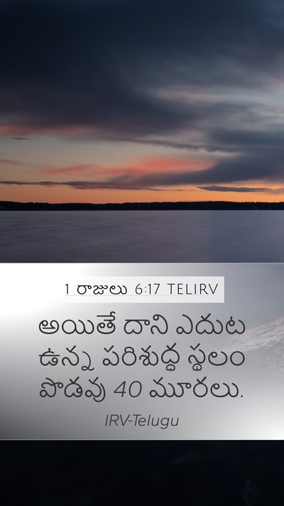 1 రాజులు 6:17 TELIRV Mobile Phone Wallpaper - అయితే దాని ఎదుట - Mobile Bible Verse Wallpaper