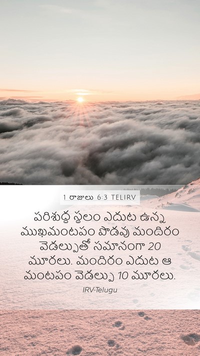 1 రాజులు 6:3 TELIRV Mobile Phone Wallpaper - పరిశుద్ధ స్థలం - Mobile Bible Verse Wallpaper
