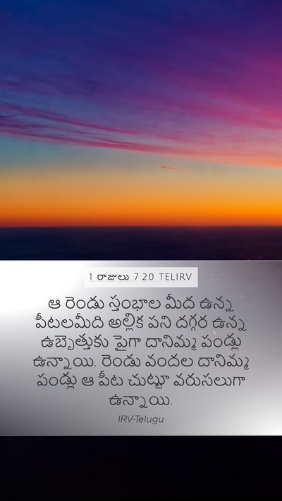 1 రాజులు 7:20 TELIRV Bible Verse Image