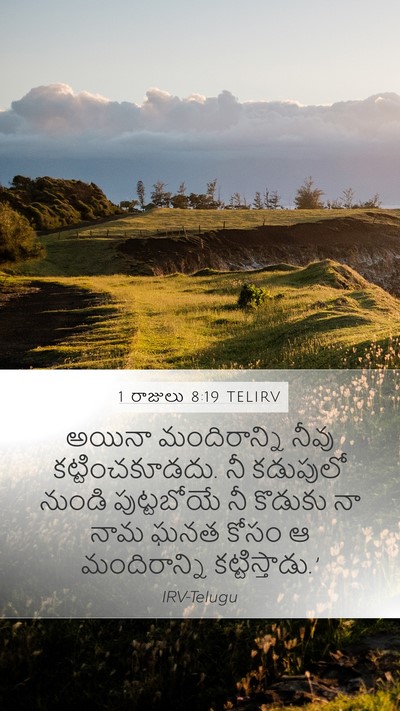 1 రాజులు 8:19 TELIRV Bible Verse Image