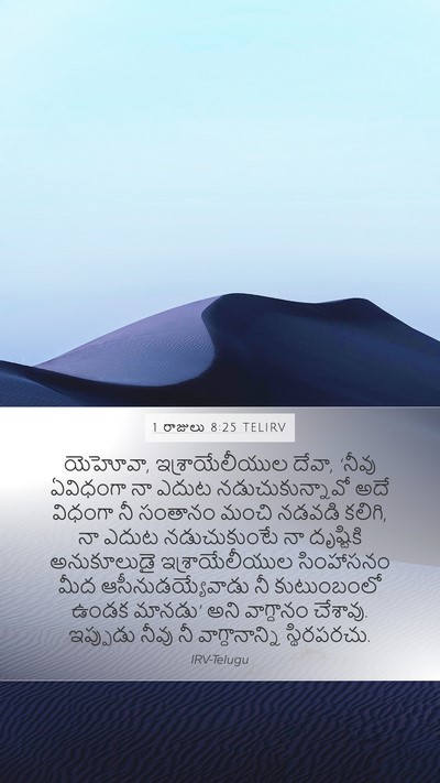 1 రాజులు 8:25 TELIRV Bible Verse Image