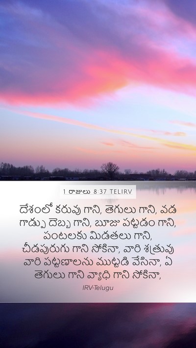 1 రాజులు 8:37 TELIRV Bible Verse Image