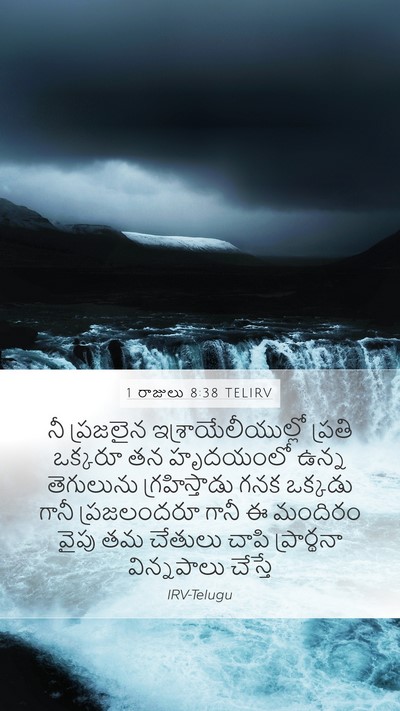 1 రాజులు 8:38 TELIRV Bible Verse Image